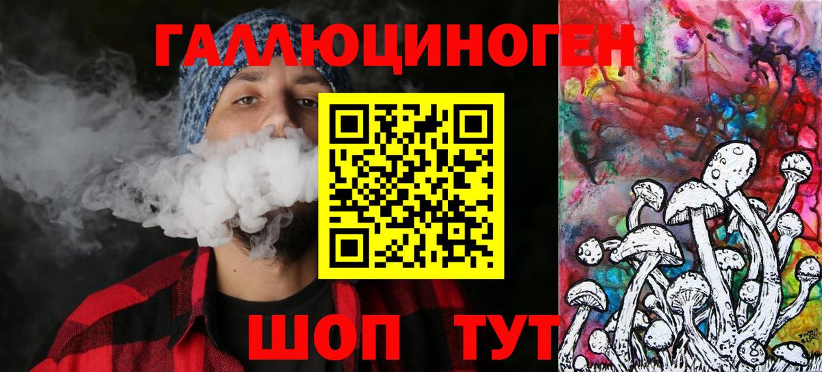 Ачхой-Мартан  Галлюциногенные грибы GOLDEN TEACHER  как найти закладки  Галлюциногенные грибы Psilocybe  Вход с VPN 